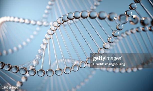 dna molecule, illustration - cromosoma foto e immagini stock