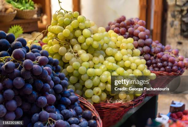 three different variaties of grapes - shiraz traube stock-fotos und bilder