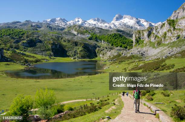 people in lakes of covadonga, cangas de onís, asturias, spain. - picos de europe stock pictures, royalty-free photos & images