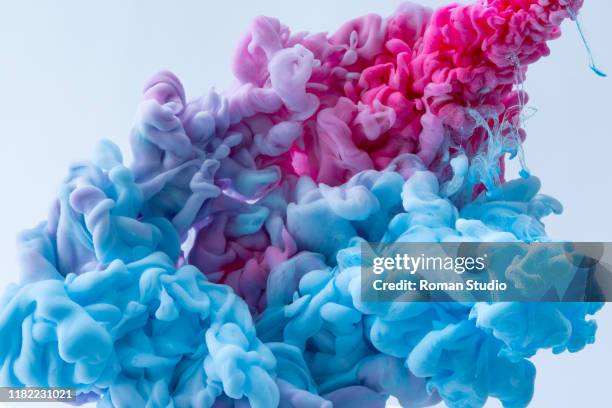 multicolor paint drops in water. ink swirling underwater. cloud of silky ink collision on white background. colorful abstract smoke explosion. abstract background - 形の変化 ストックフォトと画像