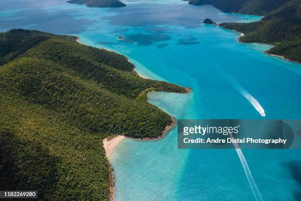 great barrier reef and hardy reef, australia - hamilton island stockfoto's en -beelden