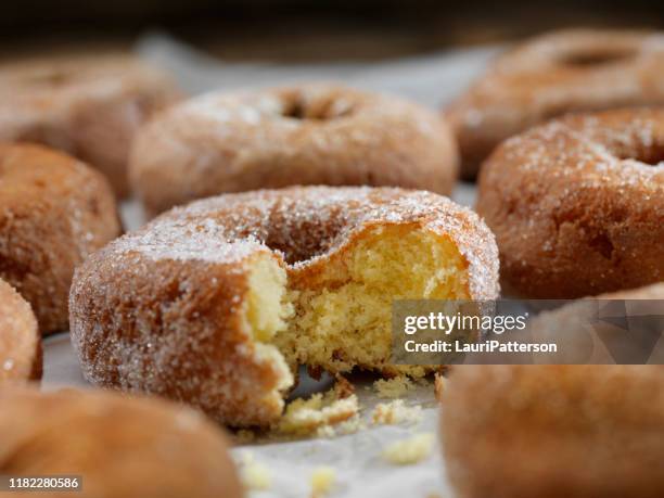 donuts do bolo do açúcar e da especiaria - doughnut - fotografias e filmes do acervo