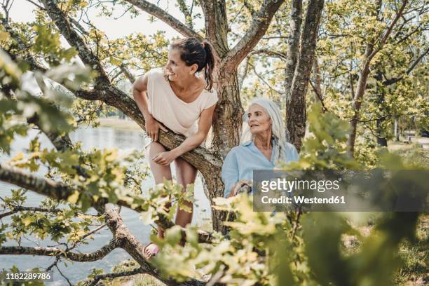 mother and daughter having fun, climbing a tree - old tree stock-fotos und bilder