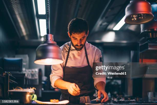 chef serving food on plates in the kitchen of a restaurant - grembiule foto e immagini stock