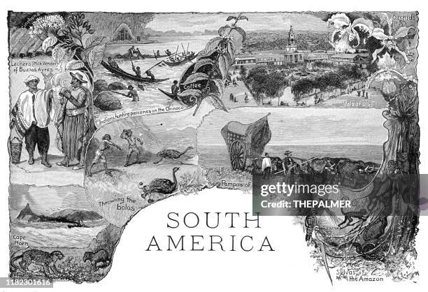 south america engraving 1899 - argentina pampas stock illustrations