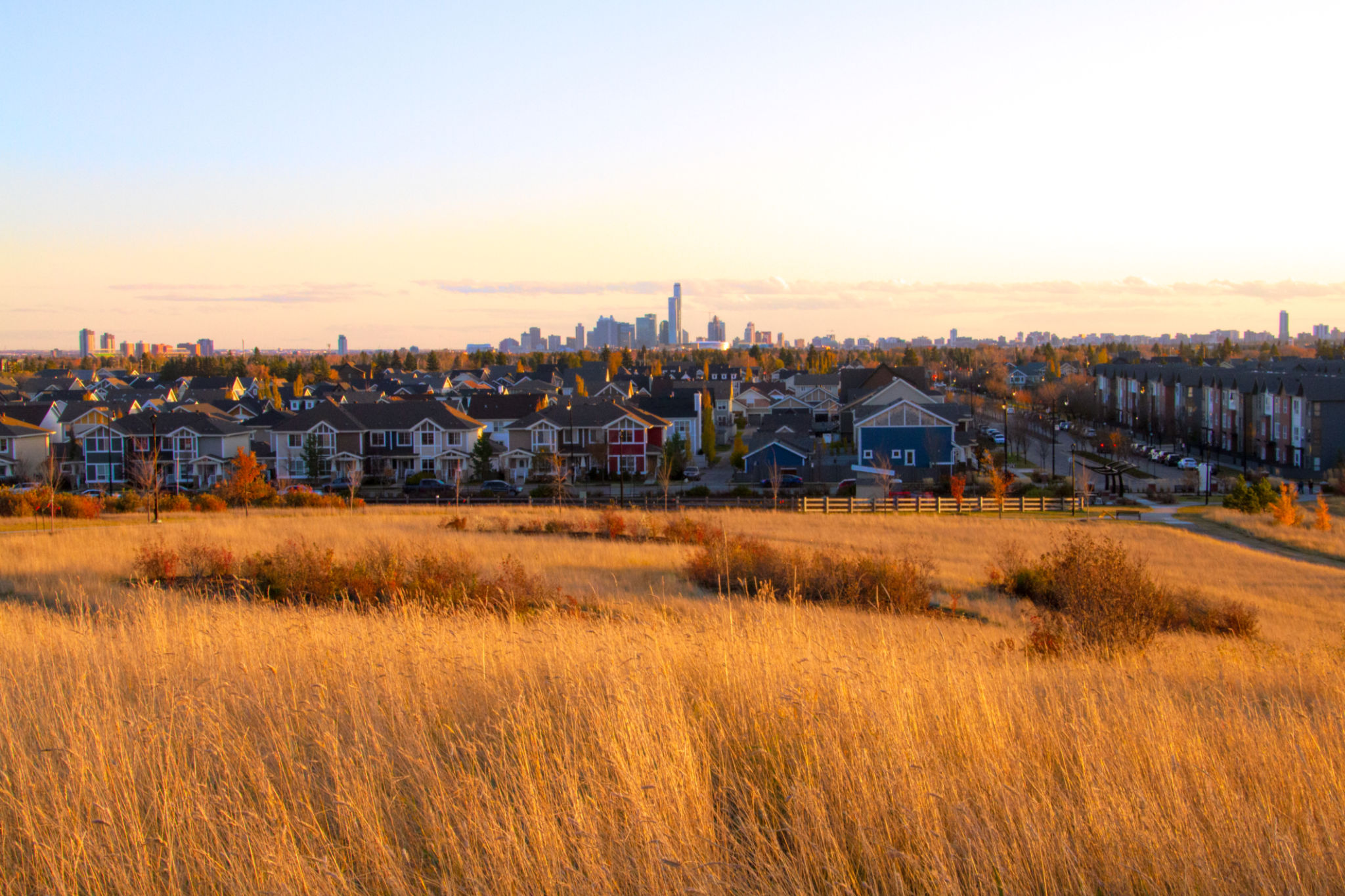alberta housing