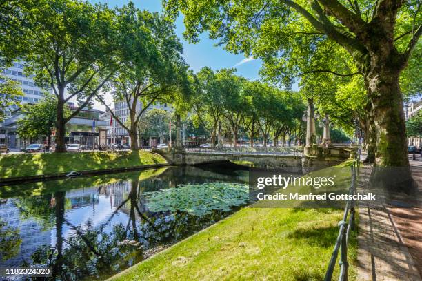 shady chestnut trees along the stadtgraben canal on düsseldorf's prominent königsalle boulevard esplanade, düsseldorf, north rhine-westphalia, germany, july 10, 2016 - canal trees stockfoto's en -beelden