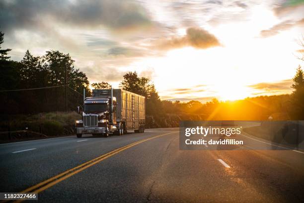 semi-camion a lungo raggio su un'autostrada rurale canadese - autostrada transcanadese foto e immagini stock