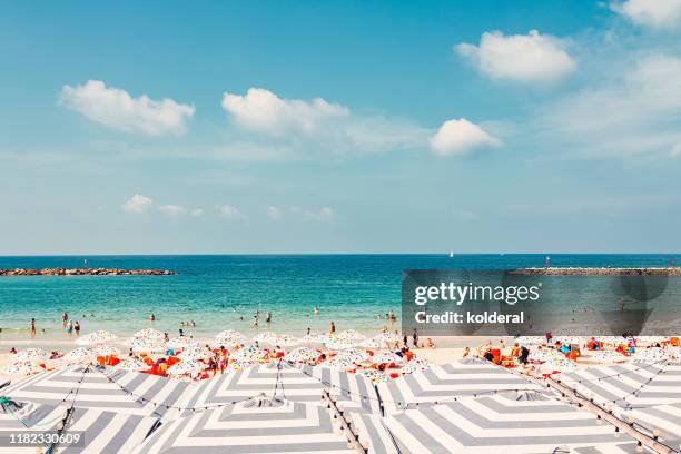 mediterranean sandy beach and beach umbrellas - tel aviv photos et images de collection