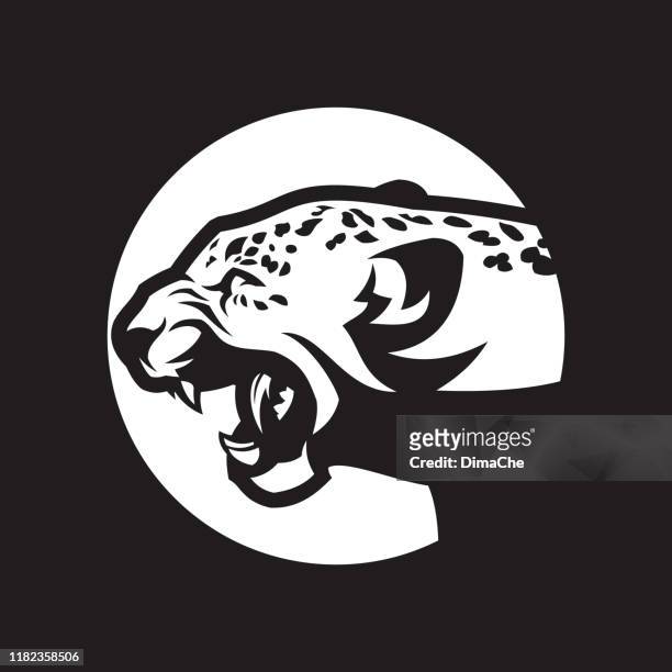bildbanksillustrationer, clip art samt tecknat material och ikoner med leopard huvud siluett. vild katt med öppen mun-skära ut vektor ikonen - jaguar