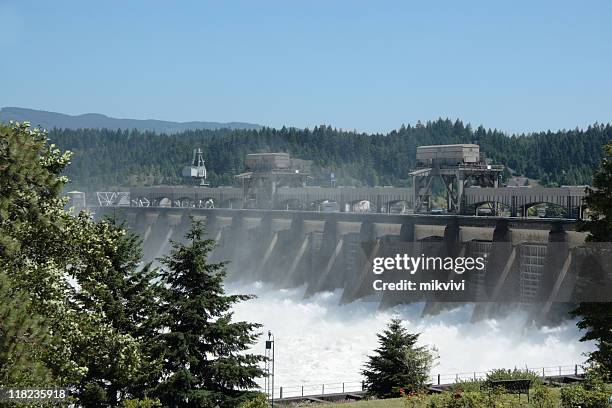 barrage de bonneville - oregon stock photos et images de collection