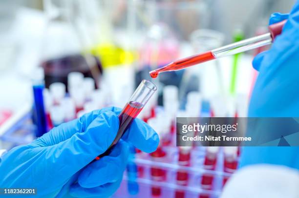 scientist hand holding test tube with blood in laboratory. - virus hiv stock-fotos und bilder