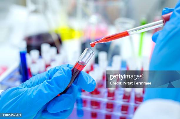 scientist hand holding test tube with blood in laboratory. - virus hiv stock pictures, royalty-free photos & images