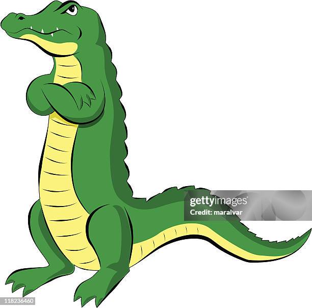 251 Crocodile Tail Photos and Premium High Res Pictures - Getty Images 251 Crocodile Tail Photos and Premium High Res Pictures - Getty Images