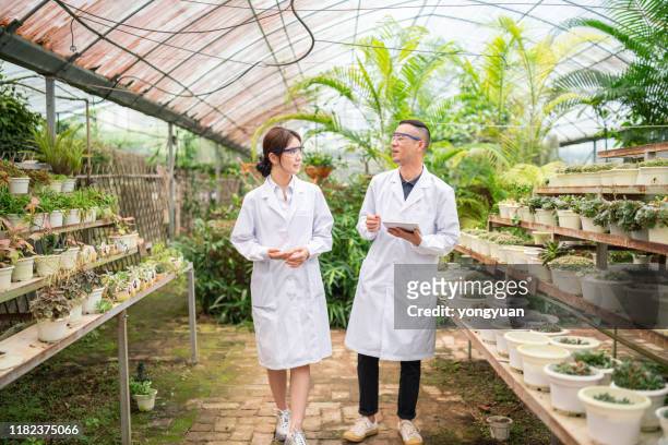 two asian scientists talking in a greenhouse - scientist full length stock pictures, royalty-free photos & images