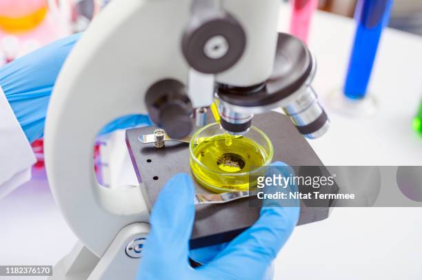 scientist testing biodiesel experiment in a science laboratory. - organic chemistry in laboratory fotografías e imágenes de stock