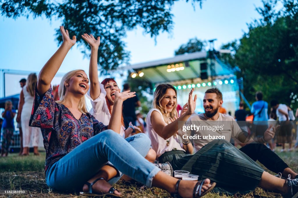 Gruppe von Freunden auf einem Musikfestival