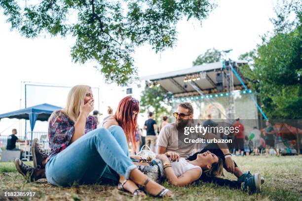 group of friends on a music festival - park festival stock pictures, royalty-free photos & images