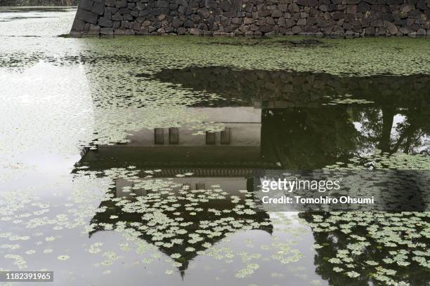 The Imperial Palace is reflected in a moat as Japan prepares for the enthronement of Emperor Naruhito, which takes place this week, on October 21,...