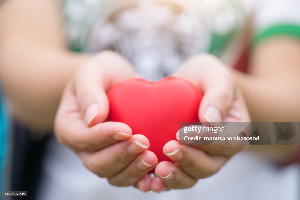 Women hand holding heart, heart disease concept