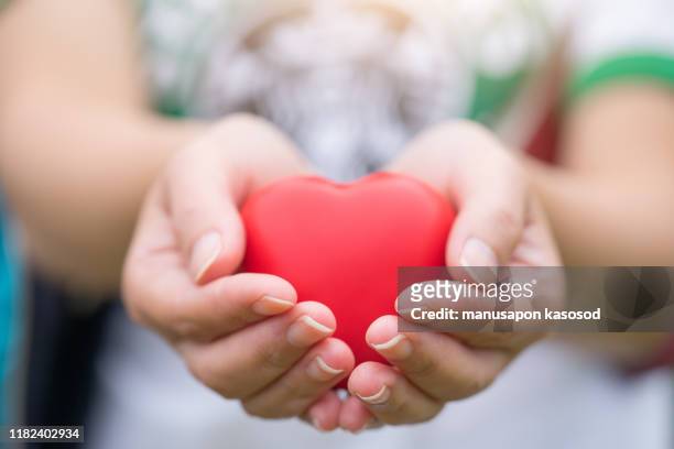 women hand holding heart, heart disease concept - gordon brown hosts a reception in aid of womens day stockfoto's en -beelden