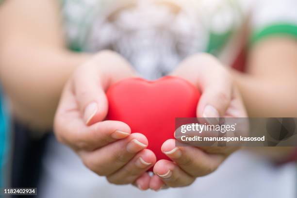 women hand holding heart, heart disease concept - community work day stock pictures, royalty-free photos & images