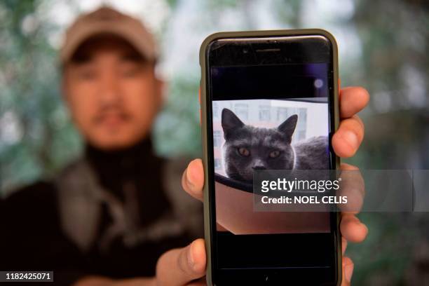 This photo taken on October 23, 2019 shows pet detective Sun Jinrong holding a phone with the picture of a missing cat in a residential compound in...
