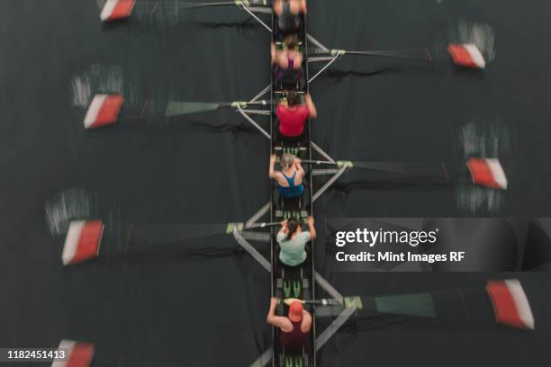 blurred motion overhead view of a rowing crew in a sculling boat on the water, mid stroke - crew rowing stock pictures, royalty-free photos & images