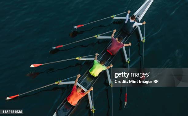 high angle view of unrecognizable male crew  washington - boat rowing stock pictures, royalty-free photos & images