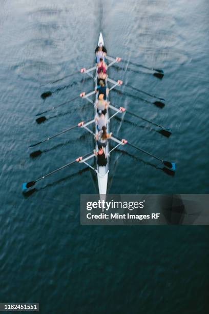 female crew racers rowing, high angle view, lake union, seattle, washington, usa. - sculling stockfoto's en -beelden