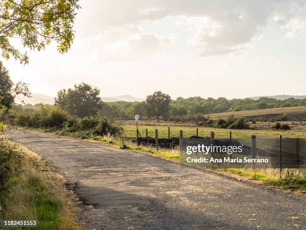 rural road in the dehesa with barbed wire fences on the sides in salamanca at sunset - valla de alambre fotografías e imágenes de stock