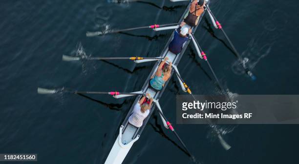 female crew racers rowing, high angle view, lake union, seattle, washington, usa. - スポーツチーム ストックフォトと画像