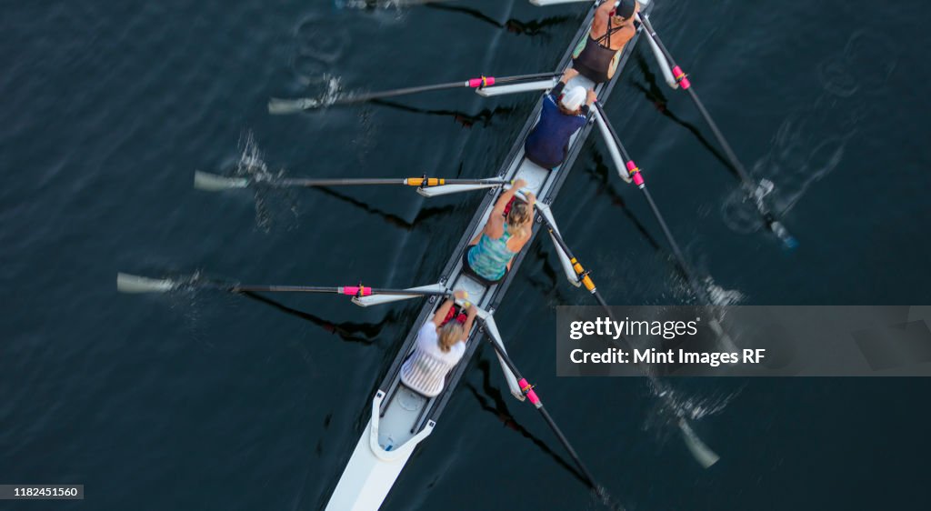 Female crew racers rowing, high angle view, Lake Union, Seattle, Washington, USA.