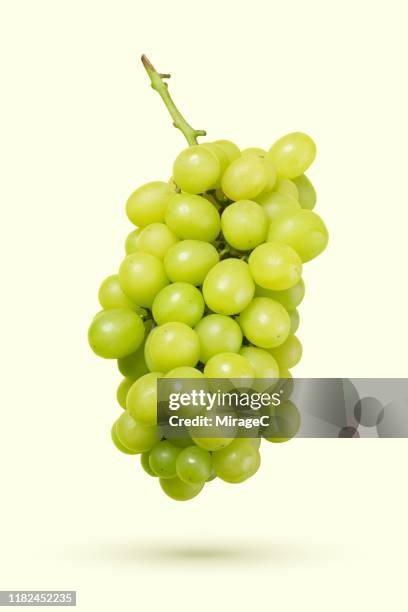 white grape levitation on colored background - white grape 個照片及圖片檔