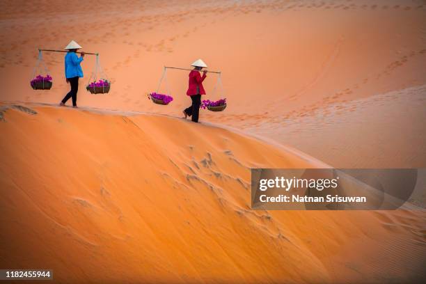 vietnam woman wearing ao dai culture traditional dress at red sand mui ne. - ao dai stockfoto's en -beelden