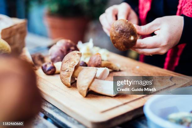 woman cleaning a few mushrooms at home. - paddenstoel stockfoto's en -beelden