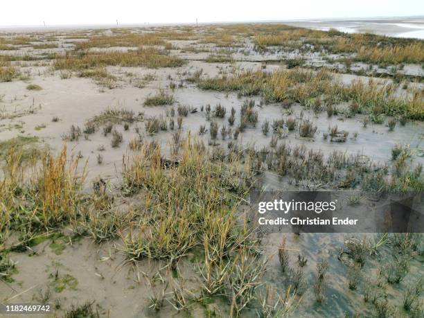 Footprints in the Wadden Sea on October 20, 2019 at Sankt-Peter-Ording, Germany. Sankt-Peter-Ording is among the top destinations for vacationers...