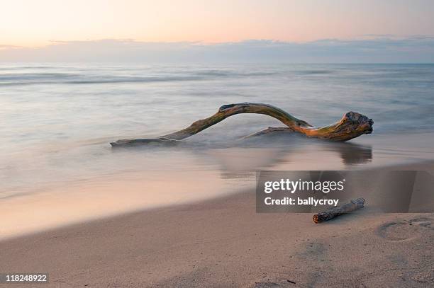 dalla spiaggia al tramonto - driftwood foto e immagini stock