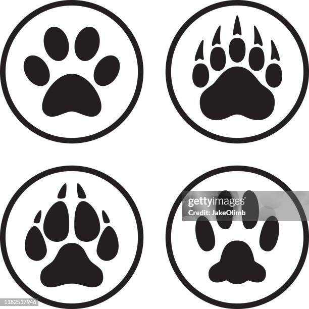 ilustraciones, imágenes clip art, dibujos animados e iconos de stock de paw print icono flat line art set - mamífero