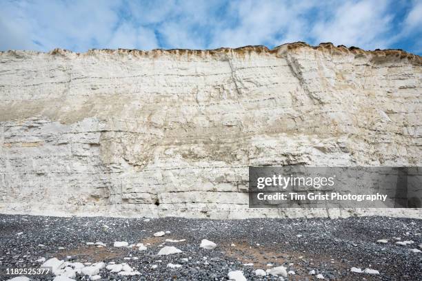 chalk rock face of the seven sisters cliffs, east sussex, uk - bergsvägg bildbanksfoton och bilder