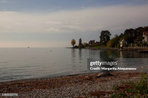 idyllic beach scene during autumn - margarita beach stock-fotos und bilder