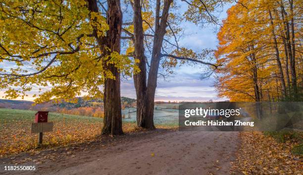 herfst in vermont - woodstock stockfoto's en -beelden