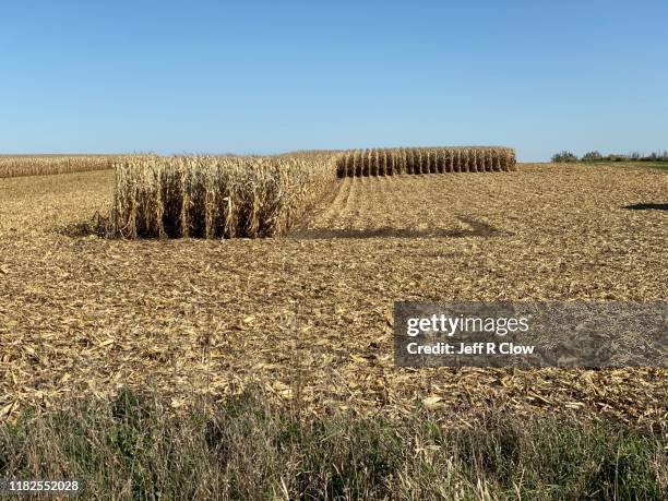 Iowa Cornfields Iowa Cornfields Photos and Premium High Res Pictures - Getty Images