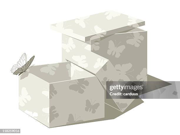 open boxes with batterfly - empty box stock illustrations