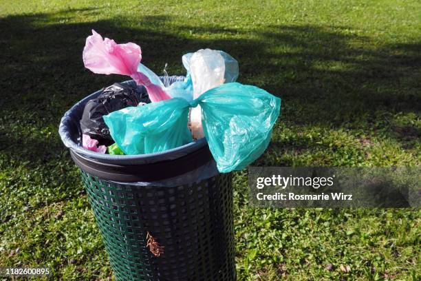 Litter Mess 24 Cat Litter Mess Stock Photos, High-Res Pictures, and Images - Getty ...