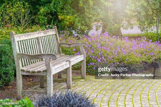 a garden wooden bench/seat in the soft summer sunshine with perennial purple geranium flowers also known as cranesbill - garden bench stock pictures, royalty-free photos & images