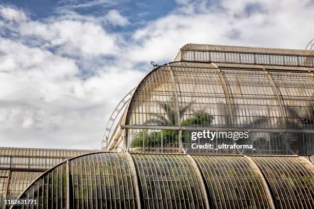 the palm house at kew gardens in london - kew gardens conservatory stock pictures, royalty-free photos & images