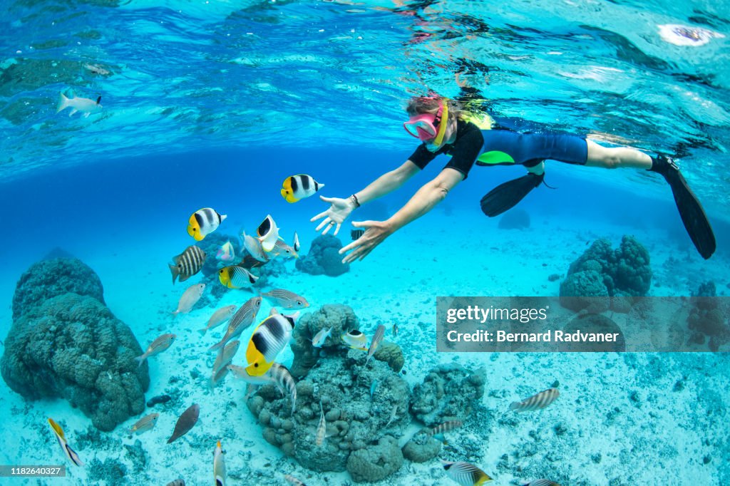 Female snorkeler playing with reef fish in bora bora