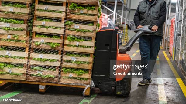 arbeiter transportiert salatkisten im lager - transportpalette stock-fotos und bilder