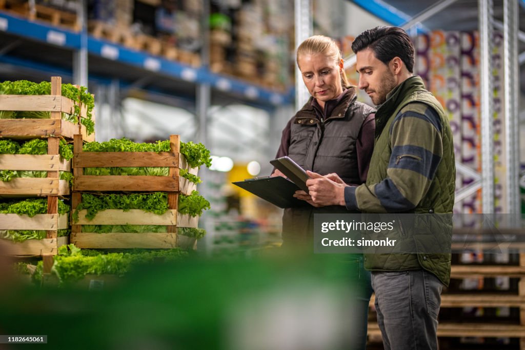 Workers checking lettuce shipment in warehouse